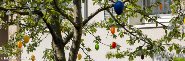 Ostereier am Osterbaum